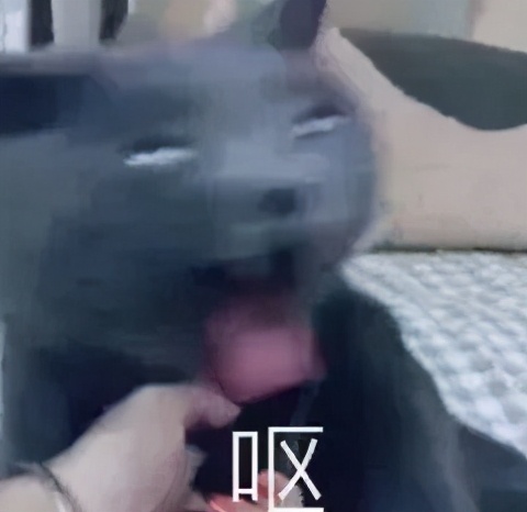 情侣大床房还是双人床,情侣住酒店该不该住大床房