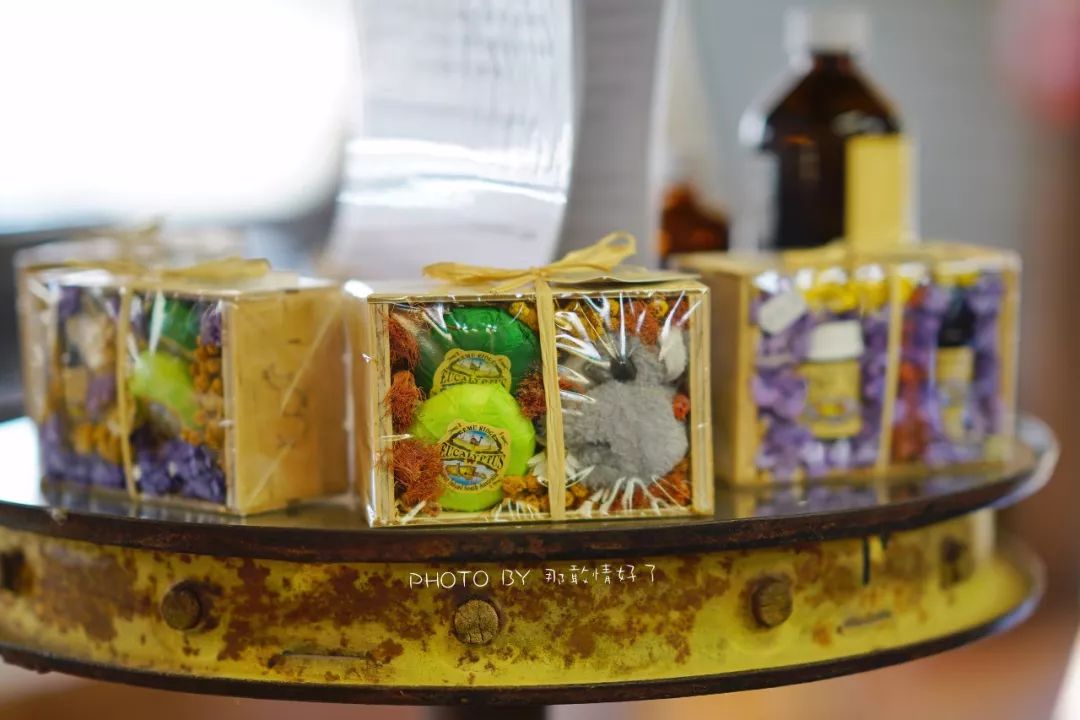 赴澳洲需要买的东西,去澳洲探亲要提供无犯罪记录吗