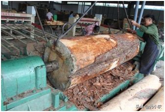 2分钟教你读懂板材,胶合板的质量要求