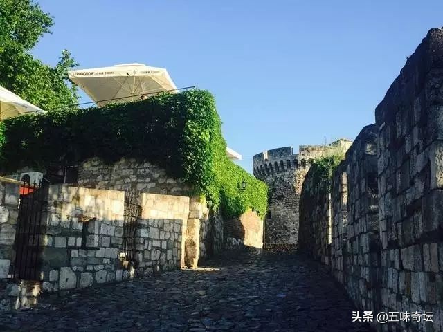 行走塞尔维亚,玩转塞尔维亚