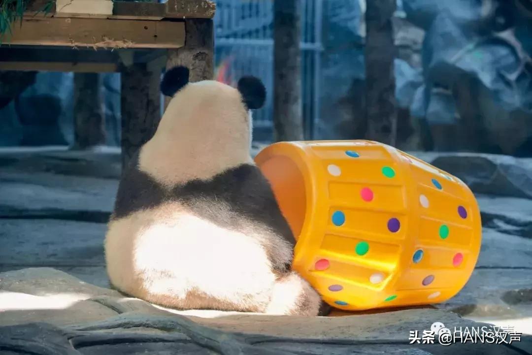 武汉aj风格专卖店,武汉aj最大专卖店