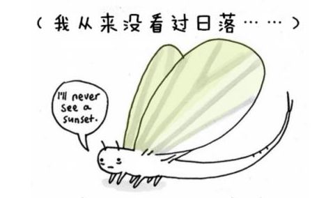 冷知识第二季结局,冷知识第二季完整