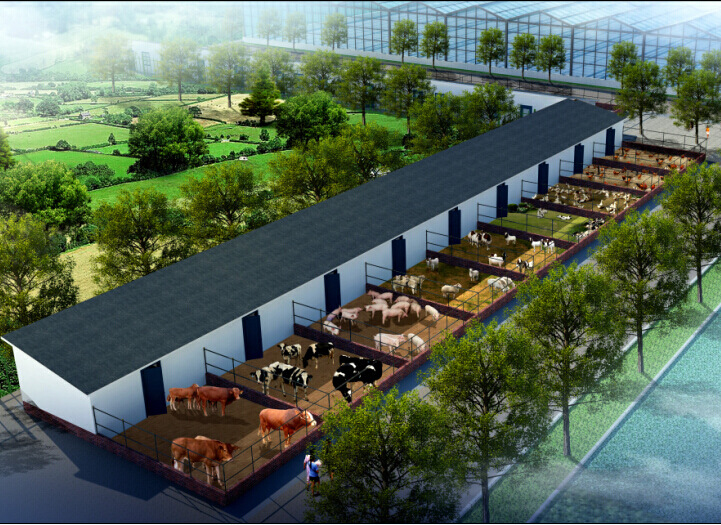 养殖智能管理系统,畜牧智能养殖系统