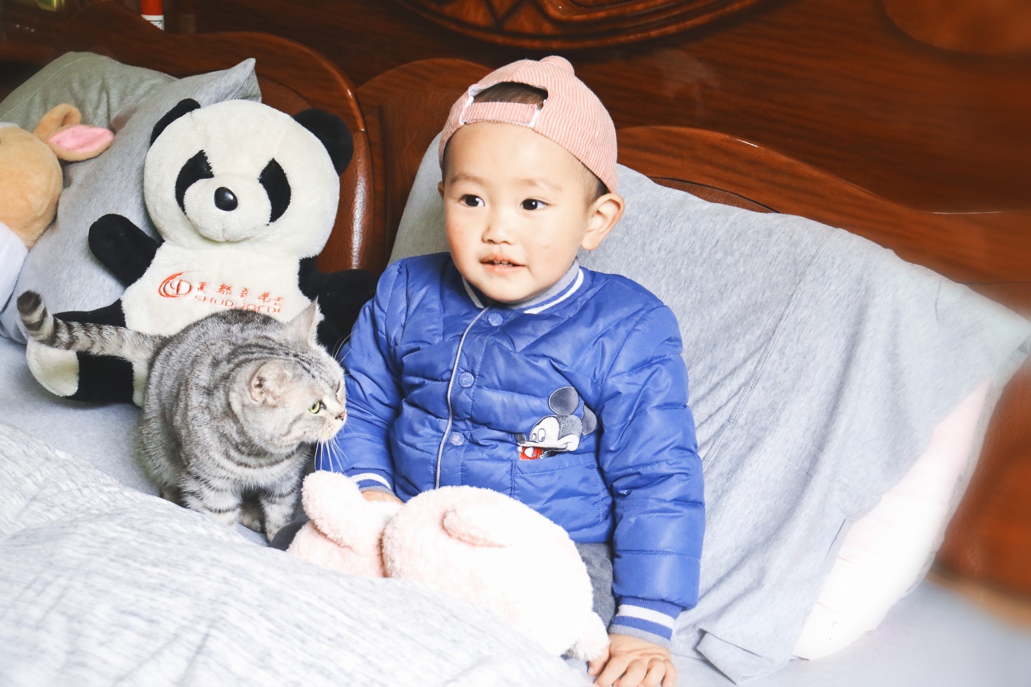 polo针织套装,睡眠辅助设备有哪些