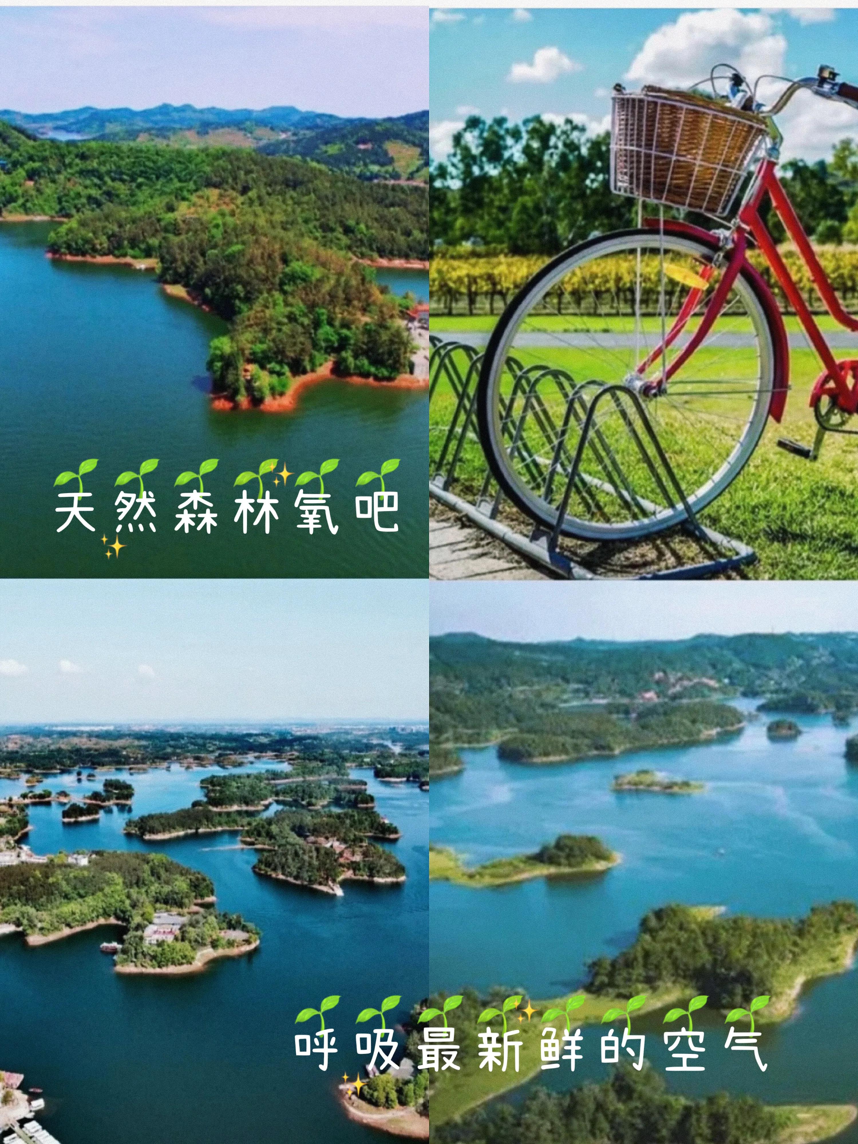 亲子减肥训练营西安,带孩子一起去减肥训练营