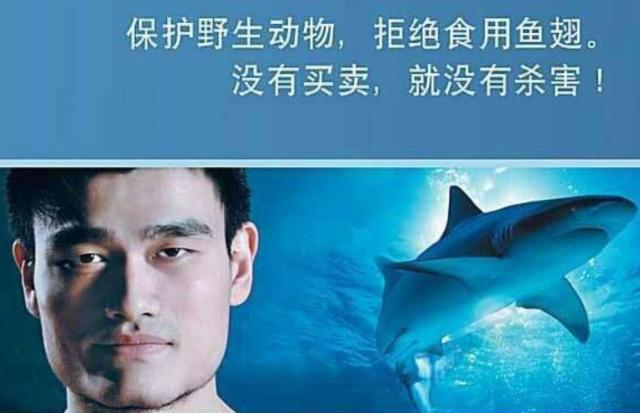 日本大象生存现状,大象生存危机