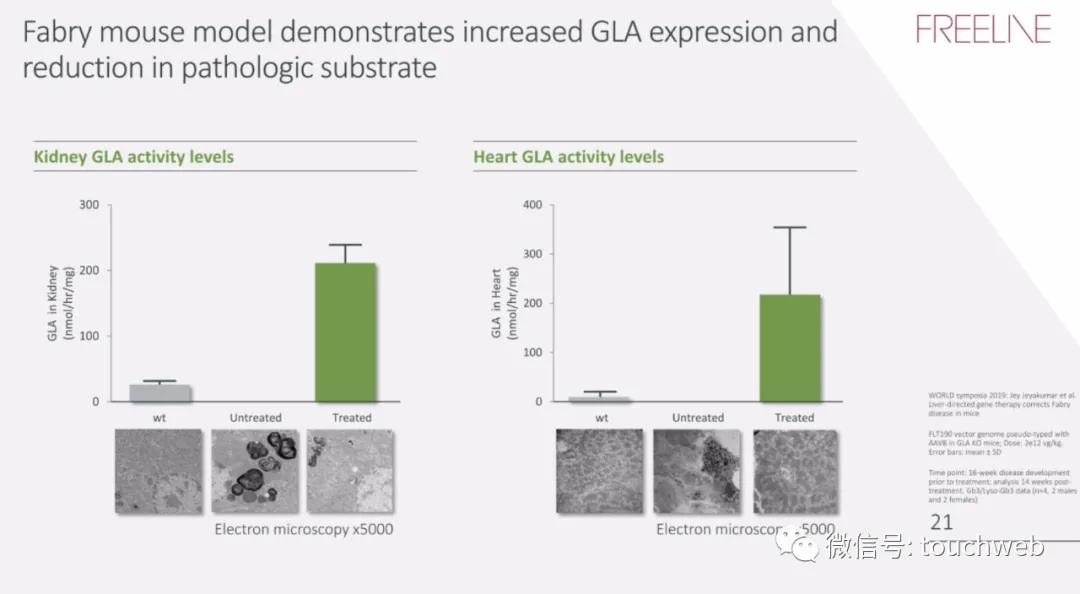 基因治疗最新突破上市公司,基因疗法上市