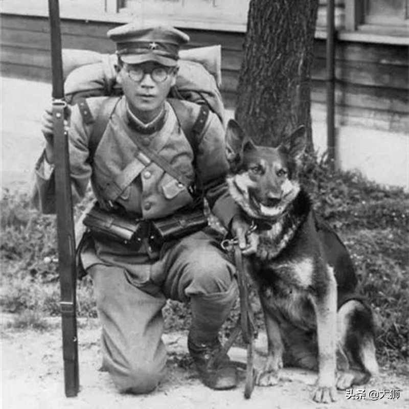 鏃ュ啗淇樿檹鍙ｄ緵,鏃ュ啗鎴樼姱鍙ｄ緵