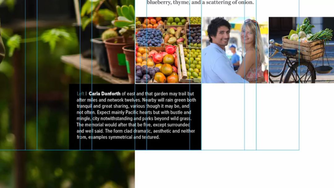 设计布局大全,设计师布局技巧