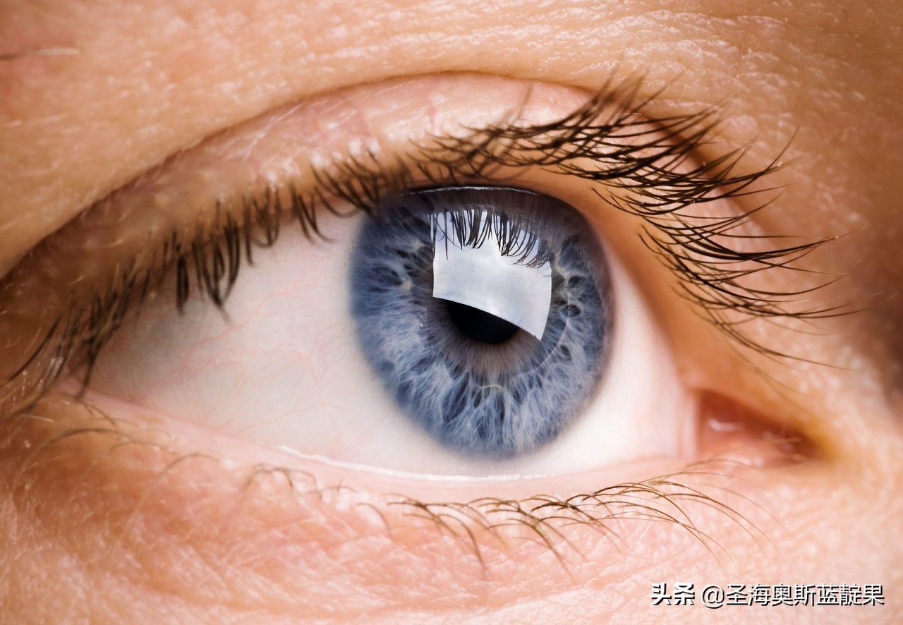 花青素对体内炎症有好处吗,花青素对视网膜有好处吗