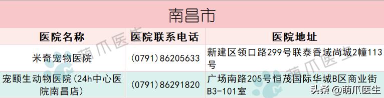 求良心靠谱的宠物医院,真正平民的宠物医院