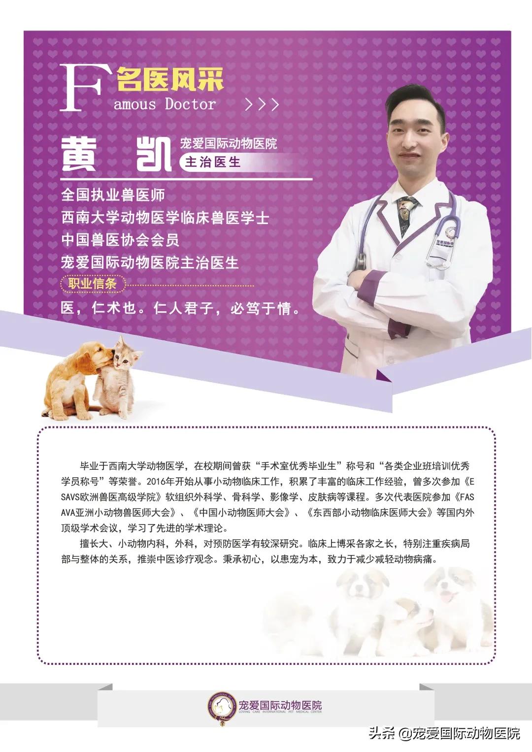 猫传腹治好了还会传染给其他猫吗,猫传腹打441见效后会一直变好吗