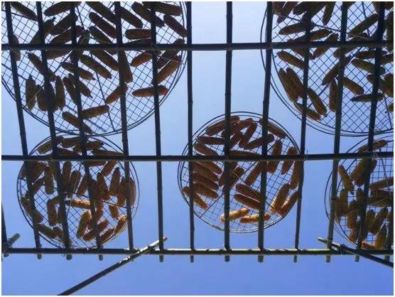 合肥大蜀山游玩攻略,合肥蜀山区最值得去的地方