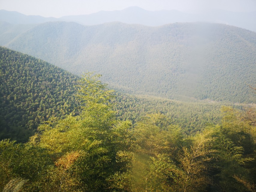 宜兴竹海游和龙背山森林公园游记