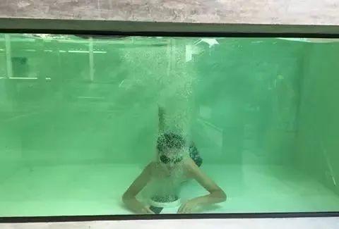 国外某熊孩子自告奋勇去擦缸把龙鱼吓脱臼了！