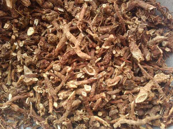 预防鸡发烧的药是什么,鸡体温升高用什么药