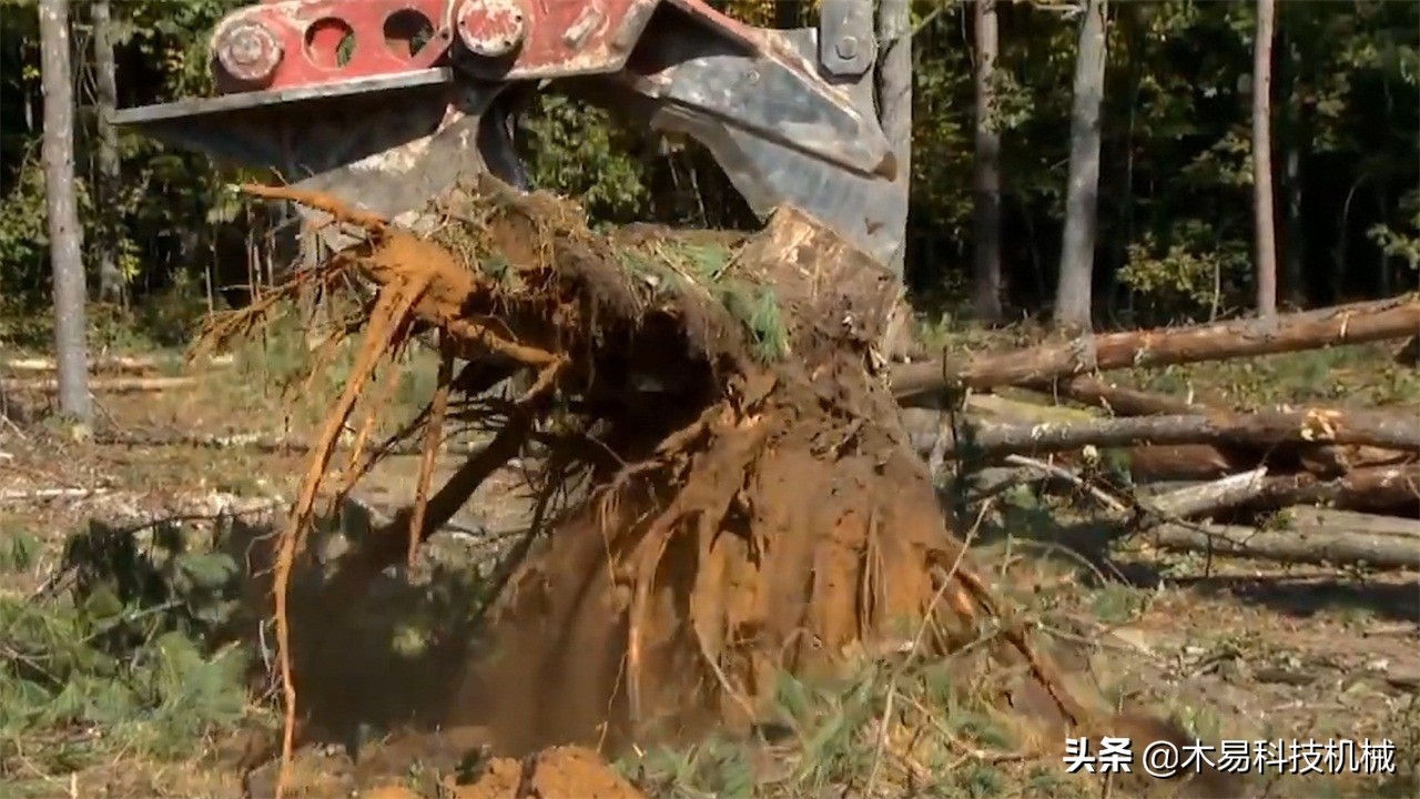 发明树桩拉拔机视频,德国最牛逼的树桩拉拔机
