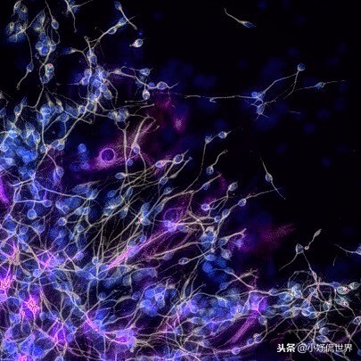 教科书照片与现实照片,教科书图片里的人