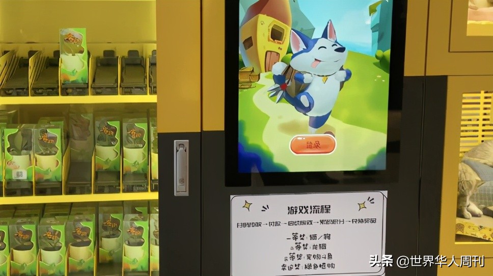 宠物生命当“惊喜”：鲜血淋漓的活体盲盒，成了当代年轻人的新宠