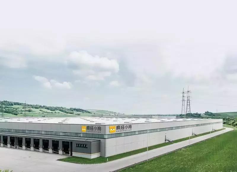 国民狗粮「疯狂小狗」如何进化为多品牌的「吉家集团」|创公司