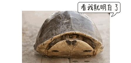 割包皮的几个棘手的情况,医院割包皮会不会被宰