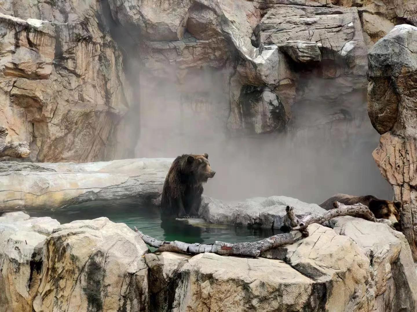 珠海长隆海洋王国二日游攻略,珠海长隆海洋王国一日游详细攻略
