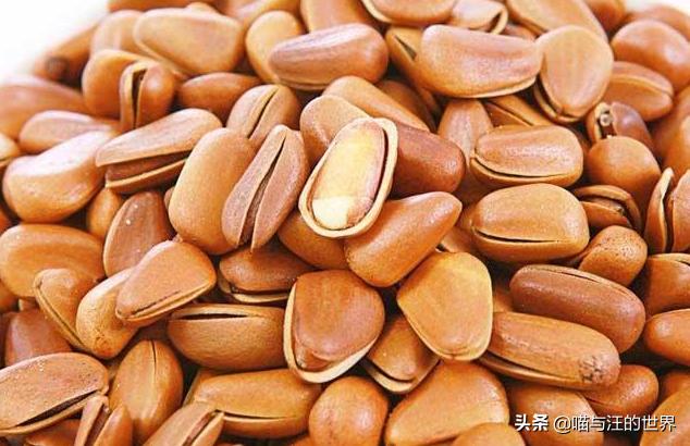 打松塔全部过程,打松塔是几月