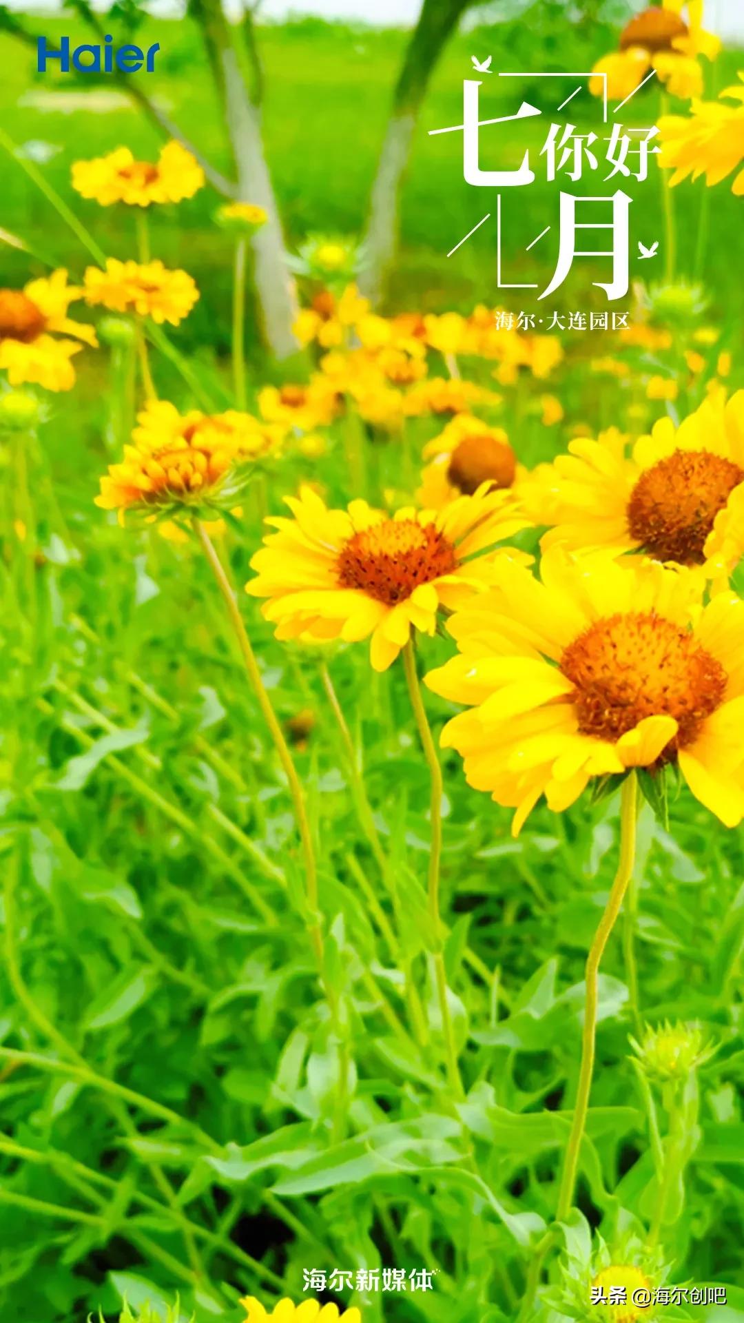 你好七月歌曲完整版,你好七月音乐视频