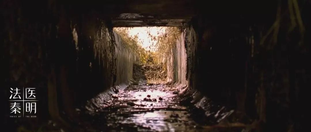 2019年影响力最高的十篇更新,最让你感到震撼的是哪一篇?