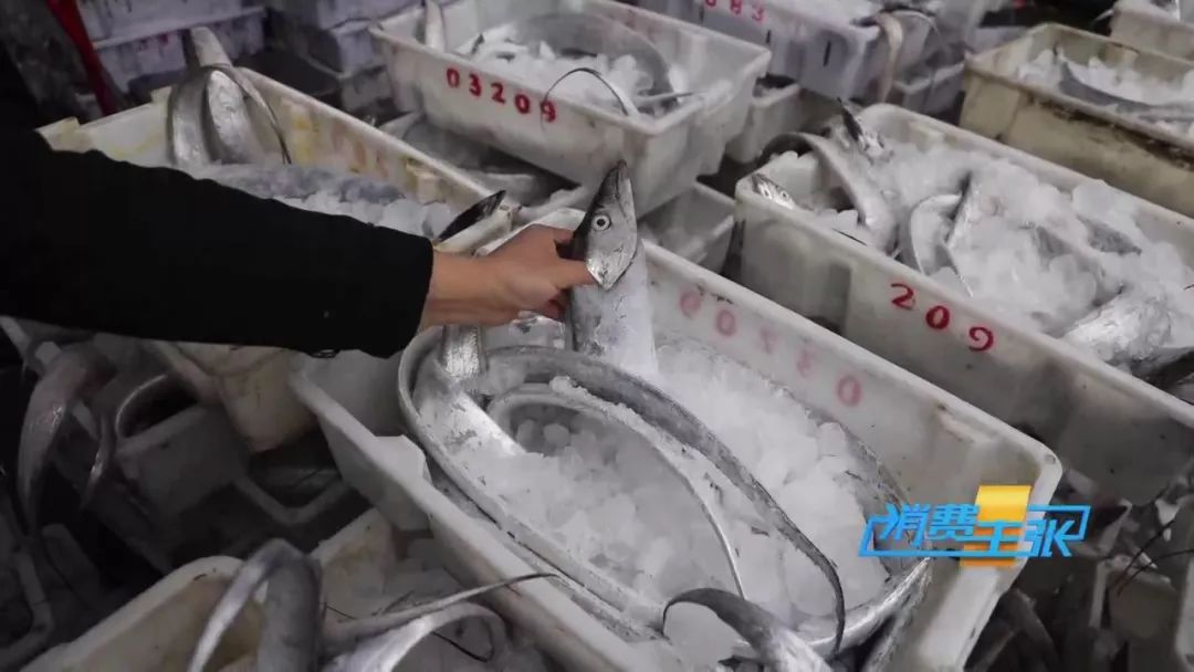 过年必囤的海鲜,过年买什么样的海鲜最有逼格