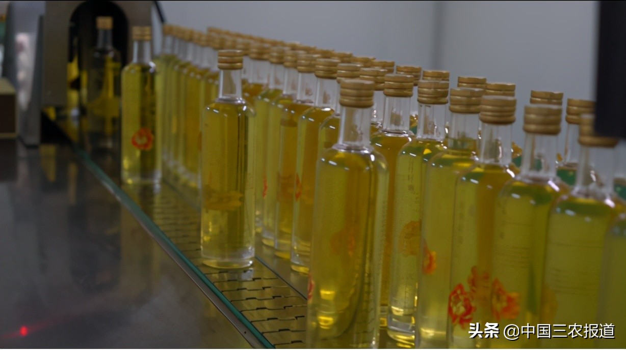 牡丹如何通过栽培增加其观赏价值,牡丹种植的价值