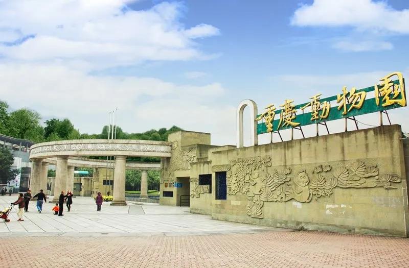 重庆动物园五一直播,重庆动物园新春活动