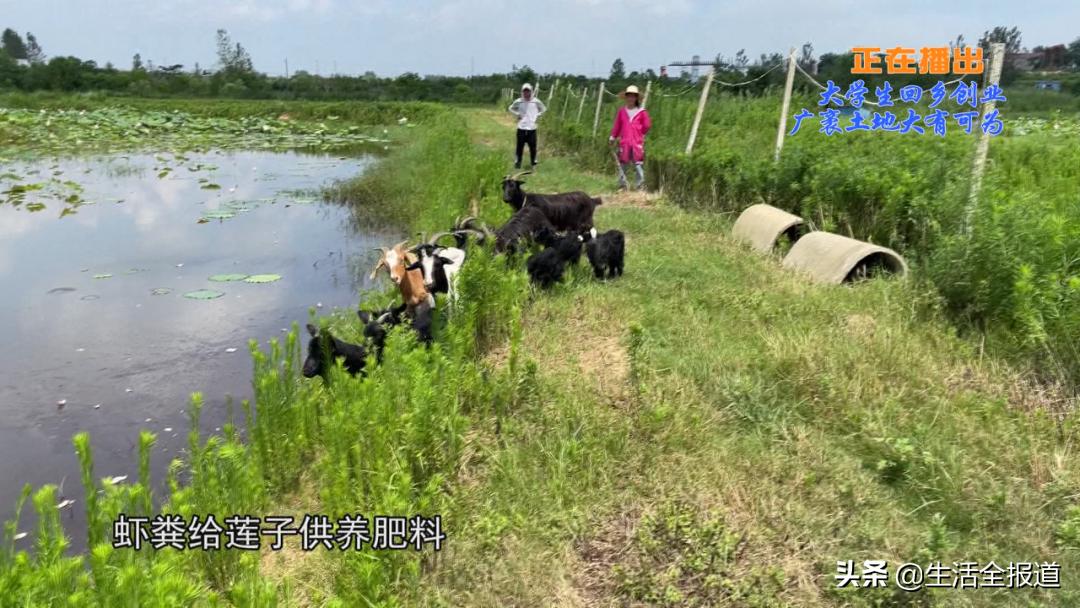 三农青年创业,返乡创业青年记录真实生活三农