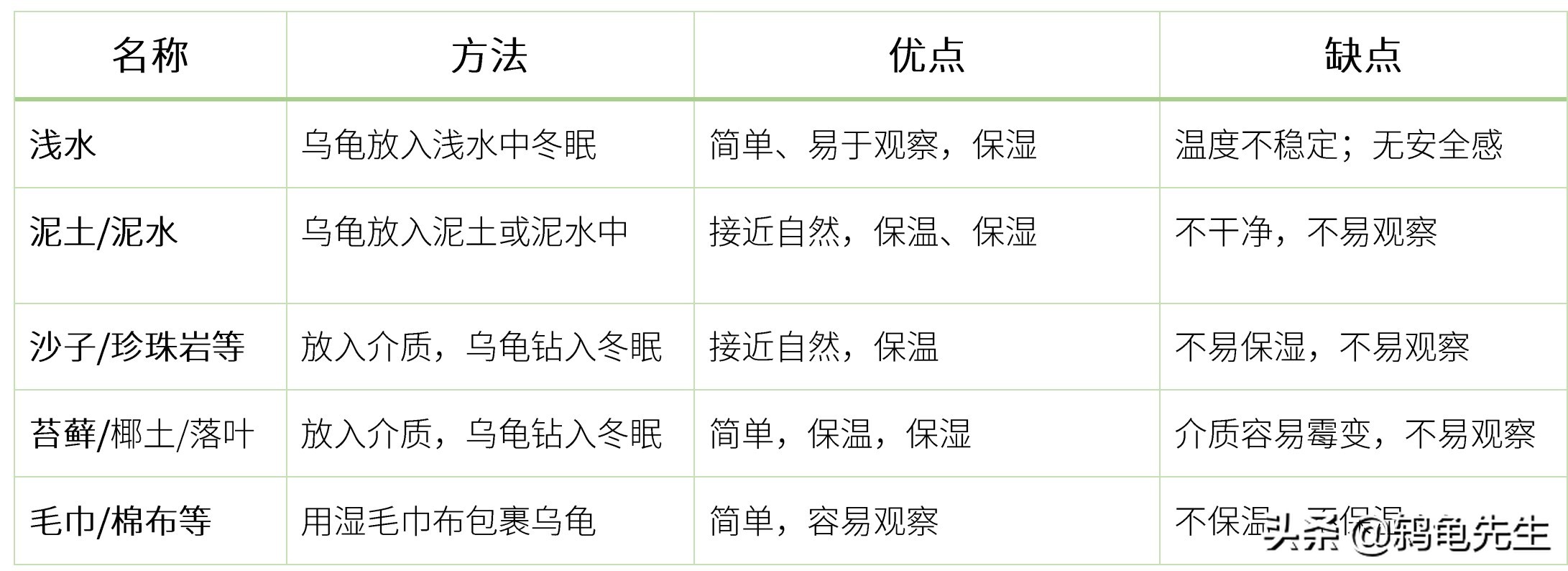 乌龟冬眠的方法和技巧,乌龟冬眠适合新手的方法