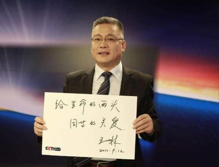 王世林和董倩是怎么相识相知的,央视4套主持人王世林简介