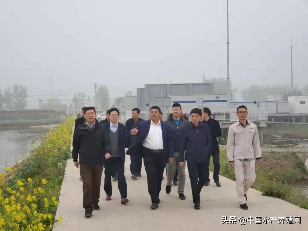 年销售额达5000多万，一手打造多个“百万富翁”，这位上过《致富经》的传奇蟹匠，又把这块土地变废为宝