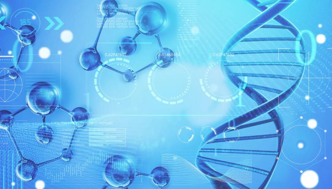 丙肝被称为隐匿的杀手,隐形杀手对于慢性肾炎你了解多少
