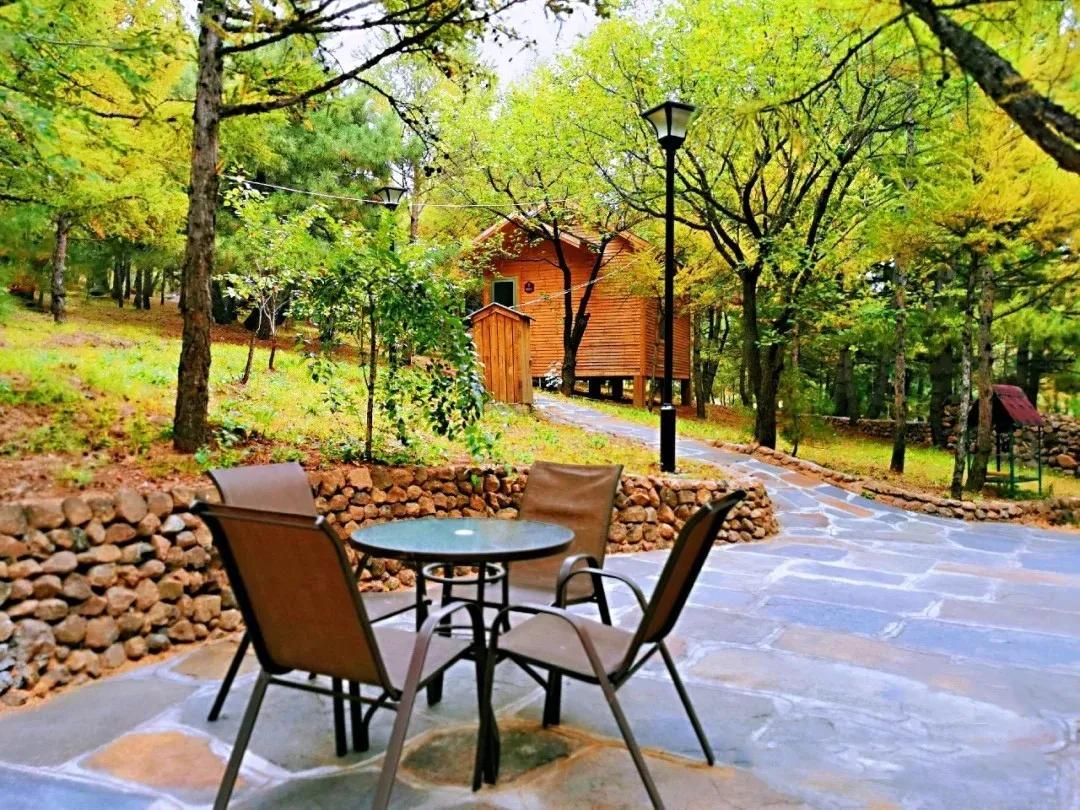 天津周边古镇一日游最佳路线,天津附近古镇免费游一日游攻略