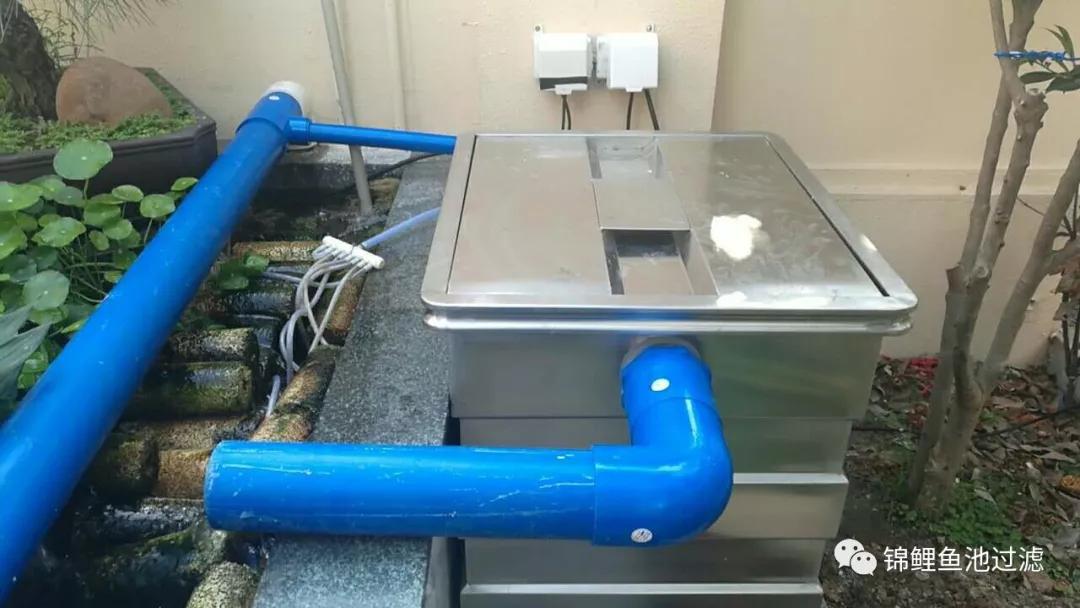 养锦鲤必备的一款鱼池过滤器,锦鲤鱼池过滤器自制方法