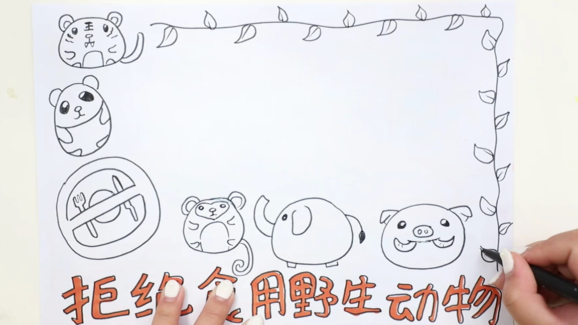 关于野生动物书的手抄报,关于野生动物的手抄报简单漂亮