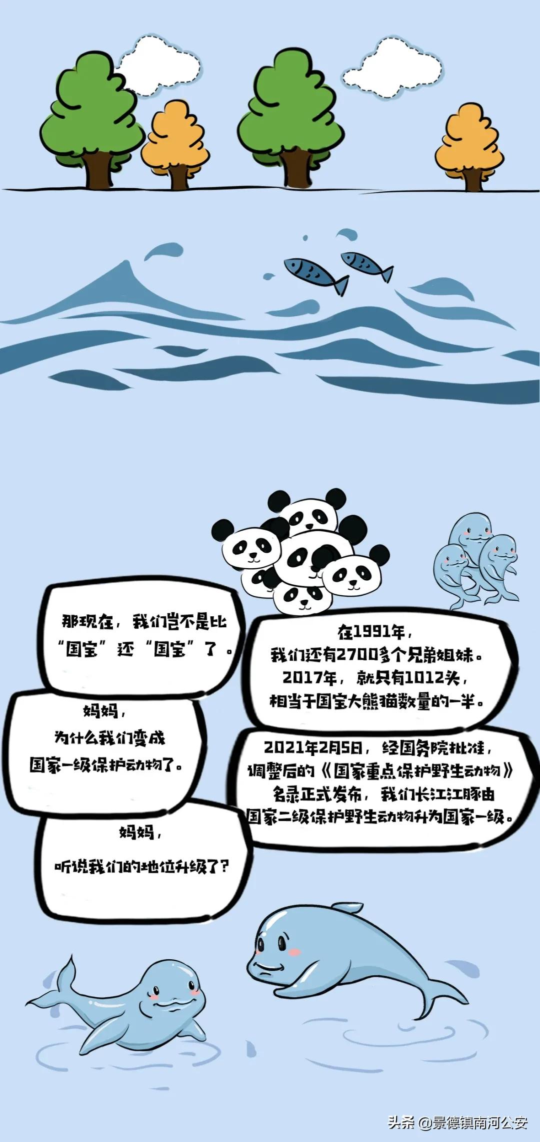 赣江一江两岸视频,赣州赣江最新视频