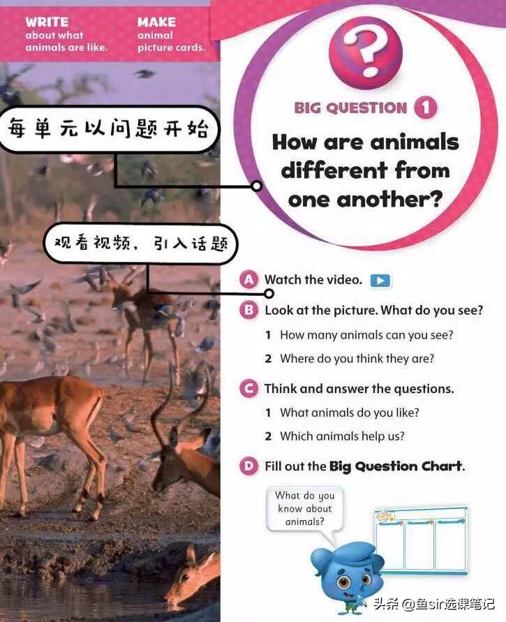 vipjr少儿英语课,vipjr少儿英语体验课