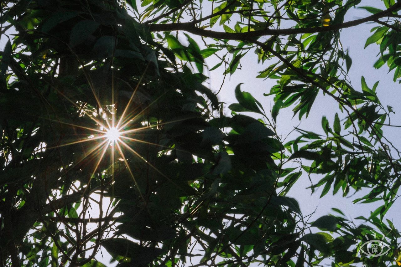 深圳各区最美的地方,深圳6个绝美地方