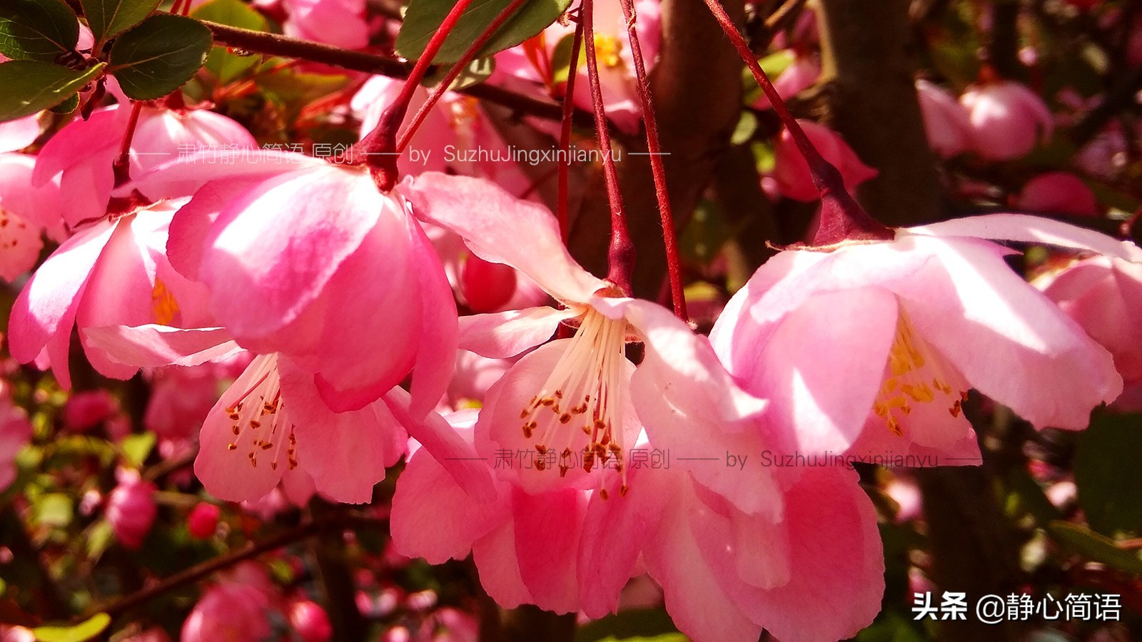 危机公关带来的启示,危机公关好处