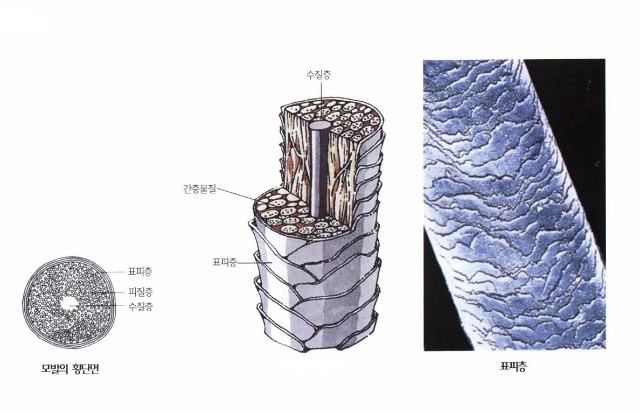 男生头发稀疏用什么洗发水比较好,洗发水可以改善头顶稀疏的头发吗
