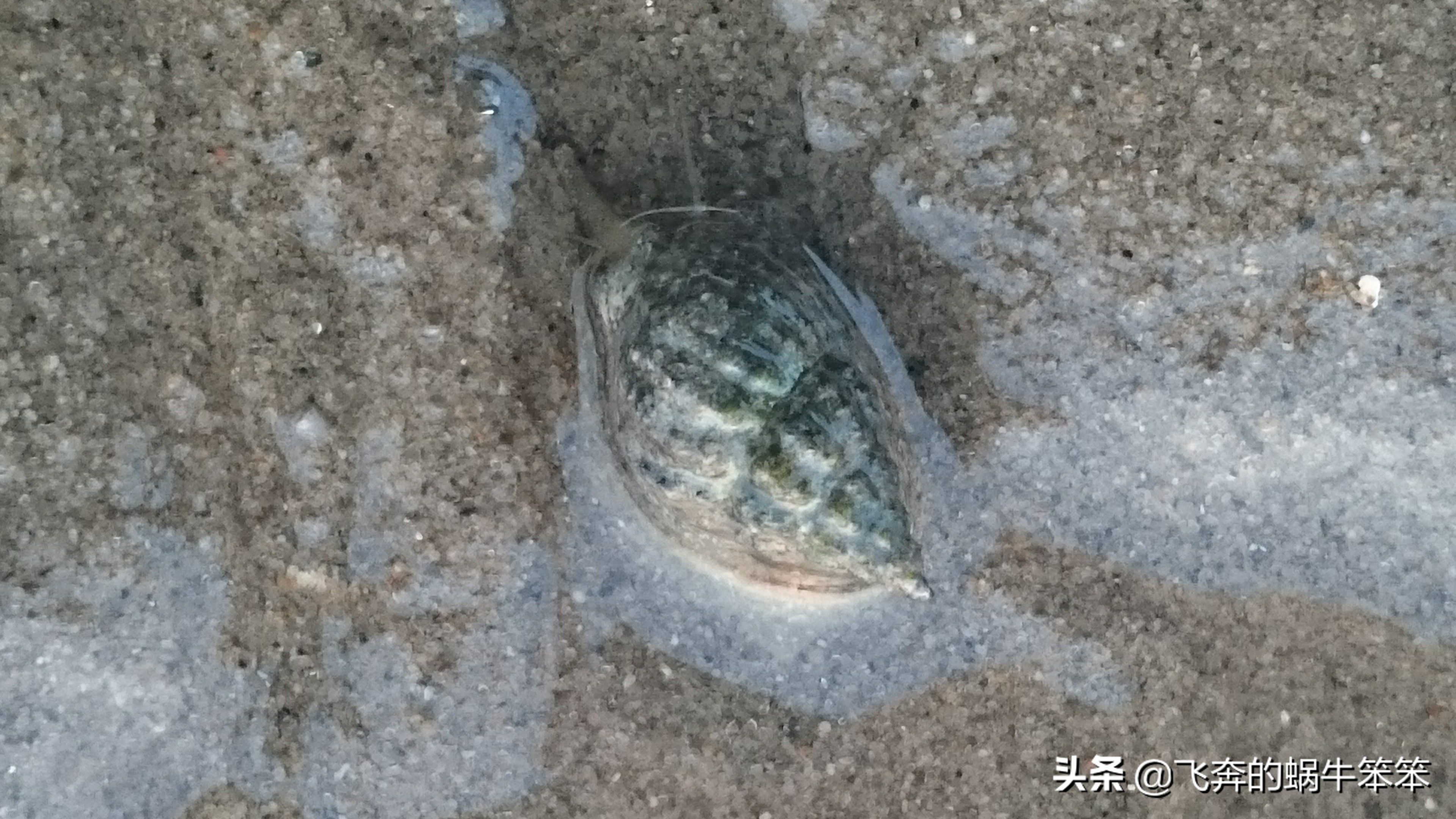 乐亭月岛赶海攻略,赶海看日出