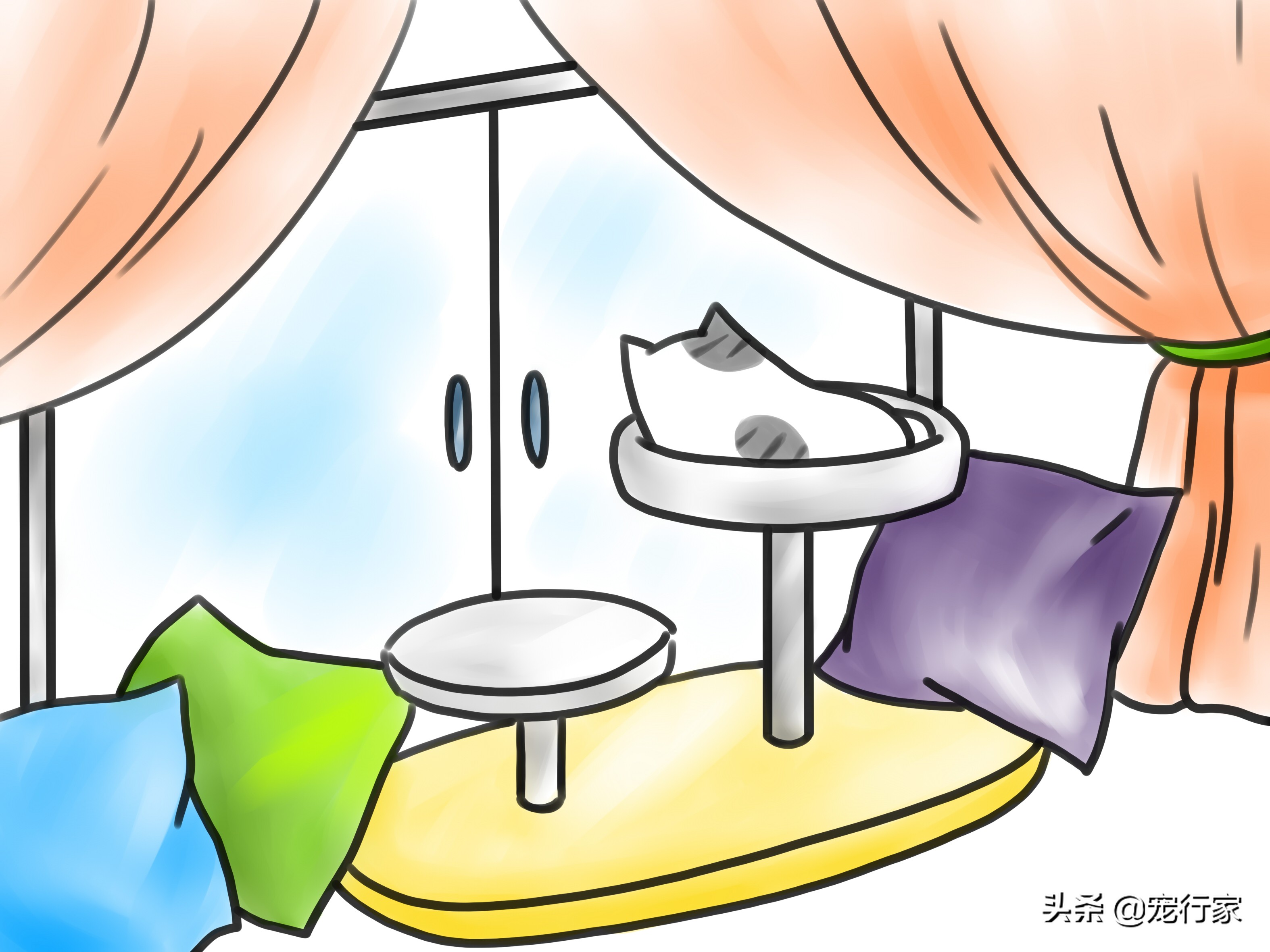 猫也有分离焦虑症吗,猫有分离焦虑怎么办