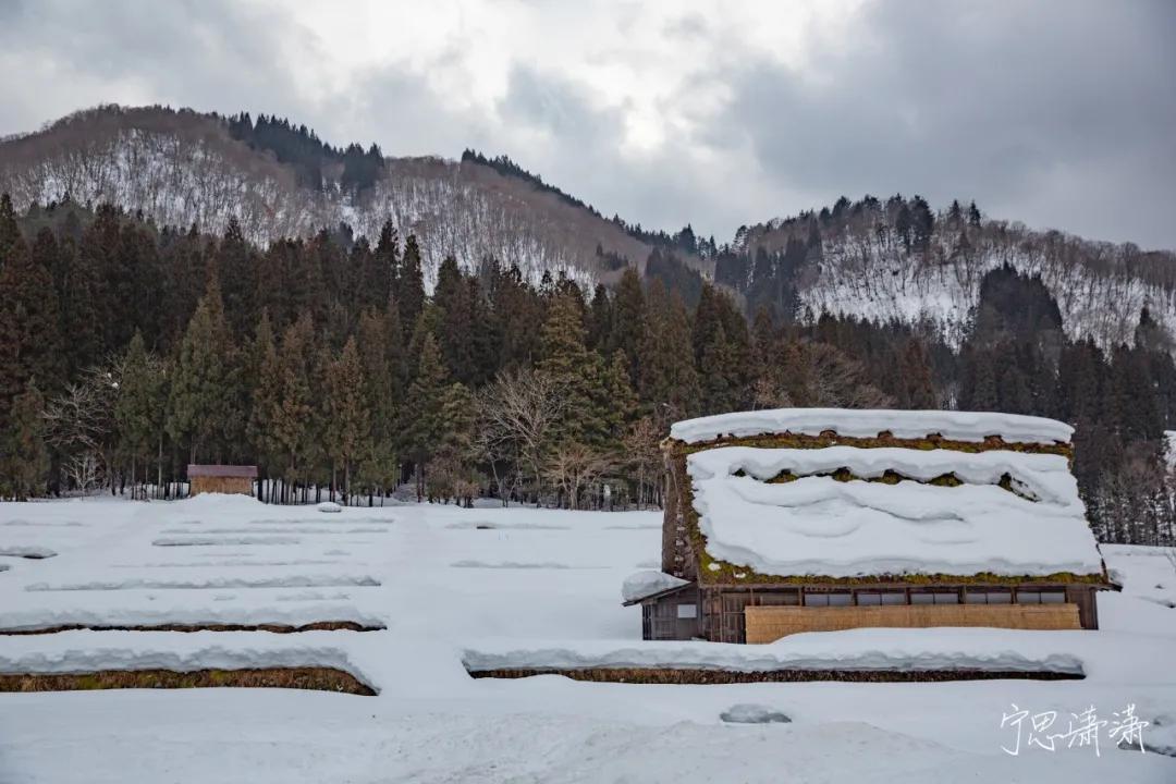 “5”缘有缘我与摄影的故事也是我与佳能“5”的故事