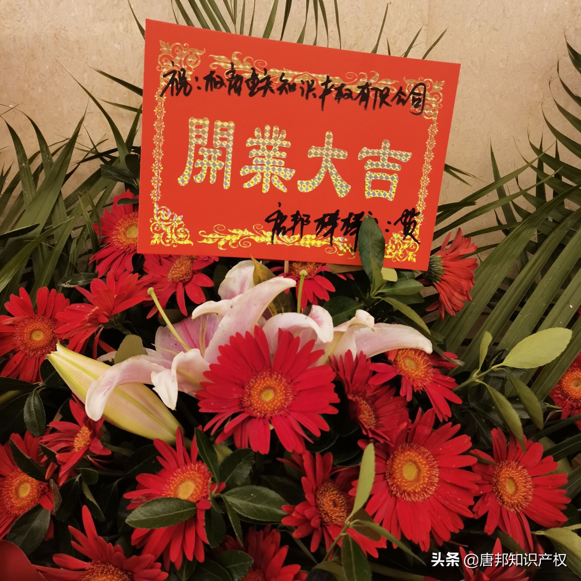 坚守不“渝”以诚立信丨权唐（重庆）知识产权服务有限公司开业