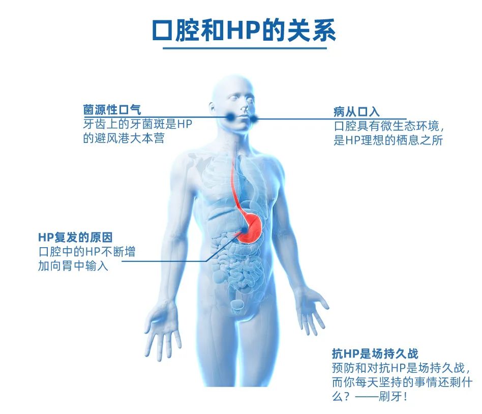 合和泰口腔护理丨嚣张的幽门螺杆菌遇到它竟然惨遭灭门！